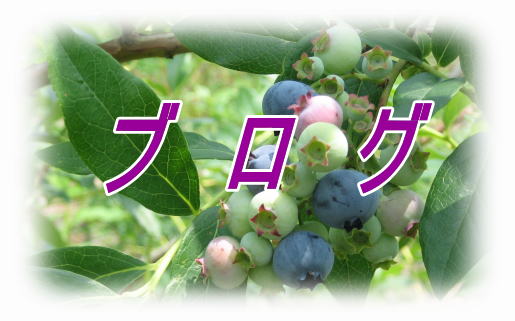 福池米穀店
