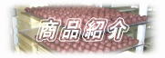 商品紹介